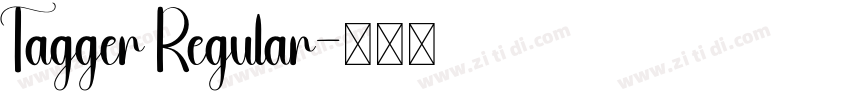 Tagger Regular字体转换 Tagger Regular字体转换